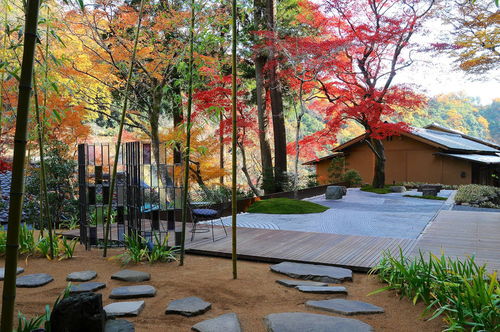 現(xiàn)代園林景觀設(shè)計中色彩運用的藝術(shù)與科學(xué)